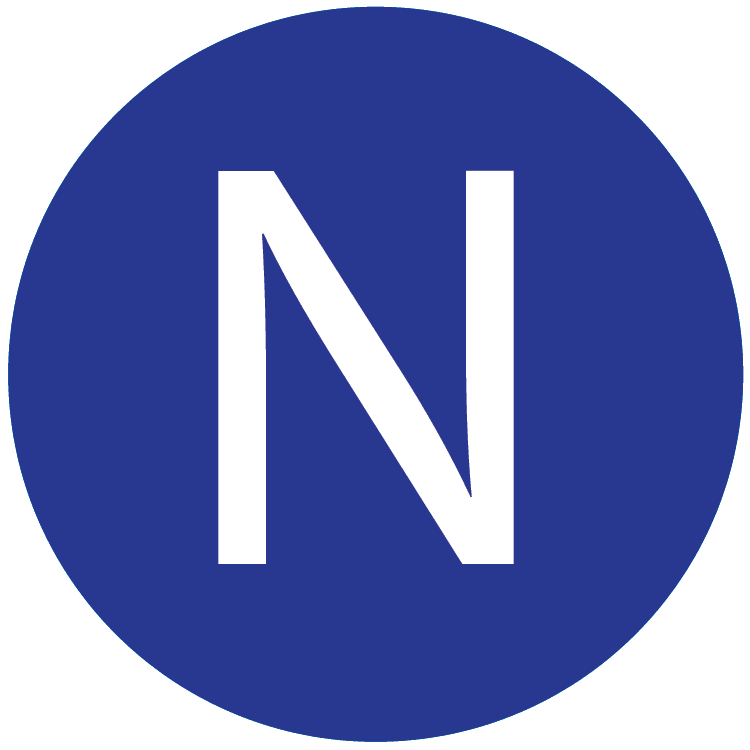 N Google Logo